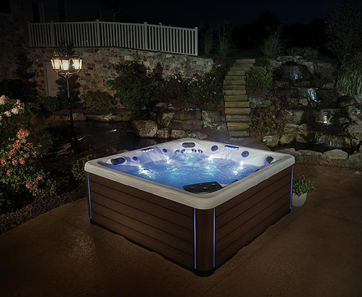 Спа бассейн Master Spas Twilight Series TS 7.2 (рис.2)